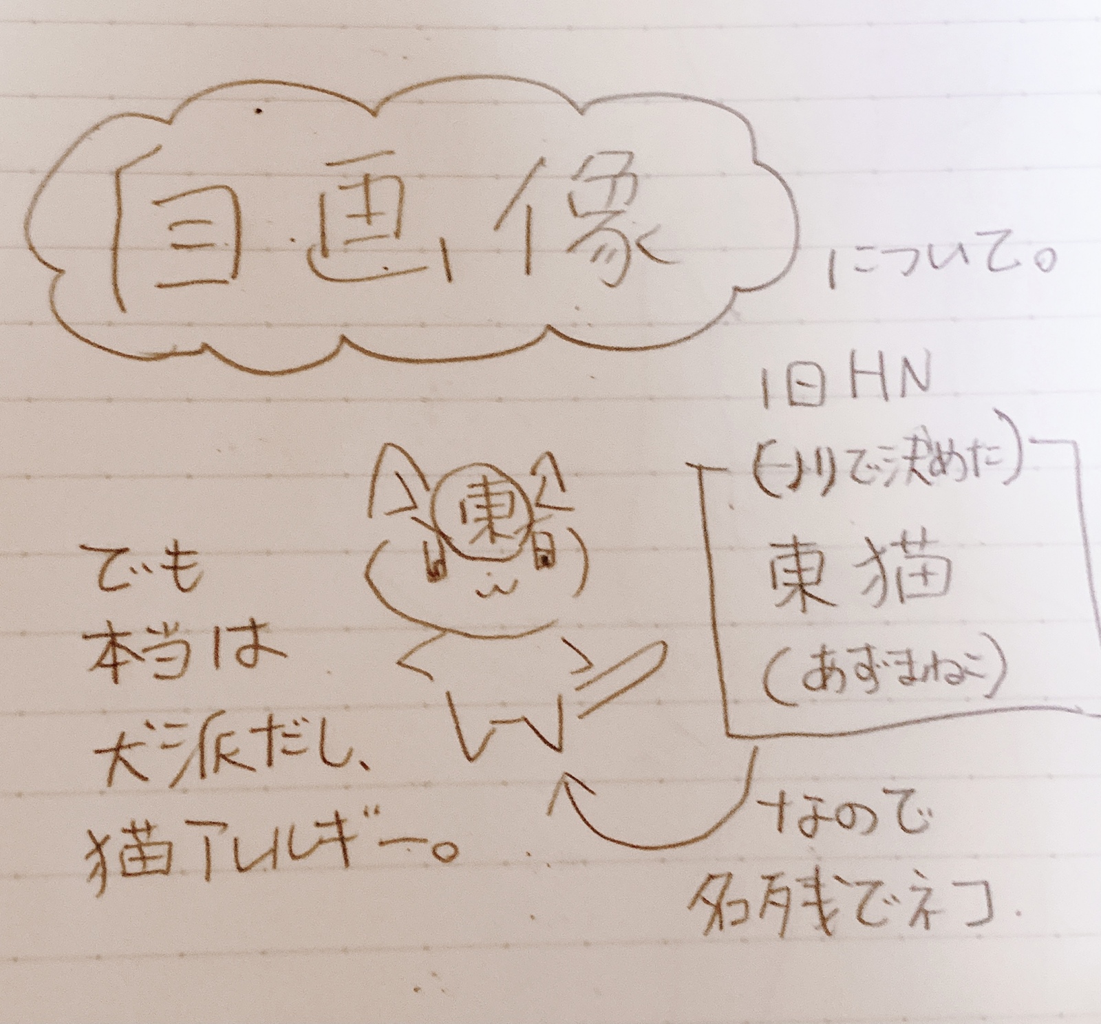 摜̘b